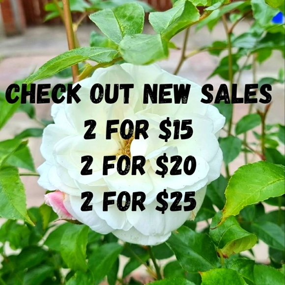 🔥🔥🔥NEW SALES🔥🔥🔥